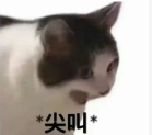 202402021641368960.Png